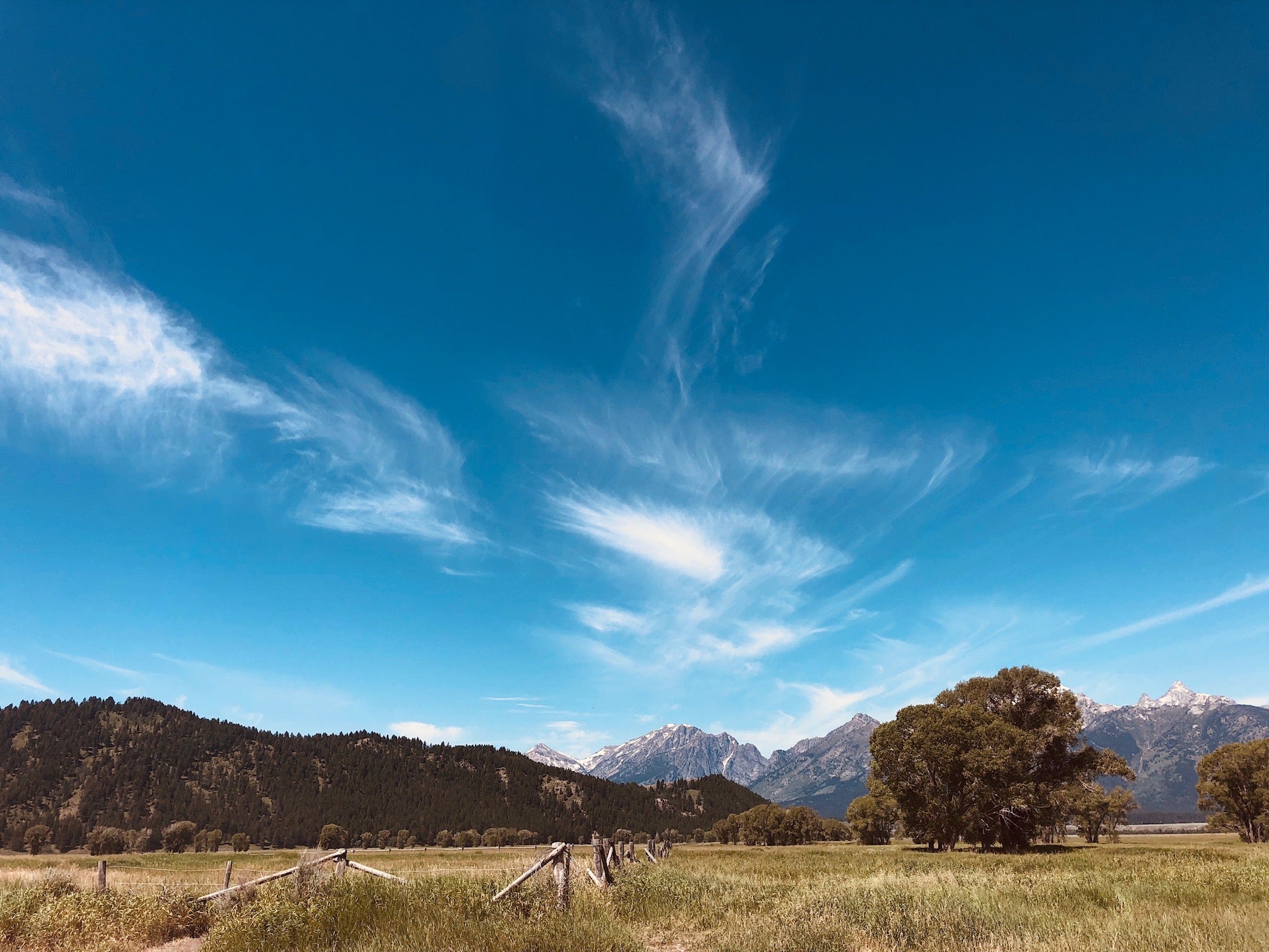 Into the West