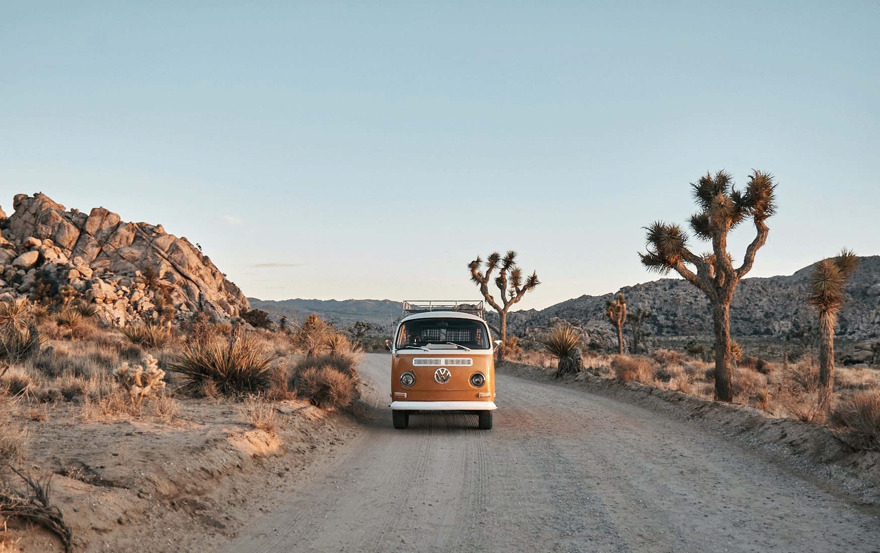 Our Favorite Spots in Joshua Tree