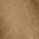 Daisy Brown