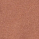Tortoise Shell