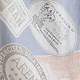 Color Variant